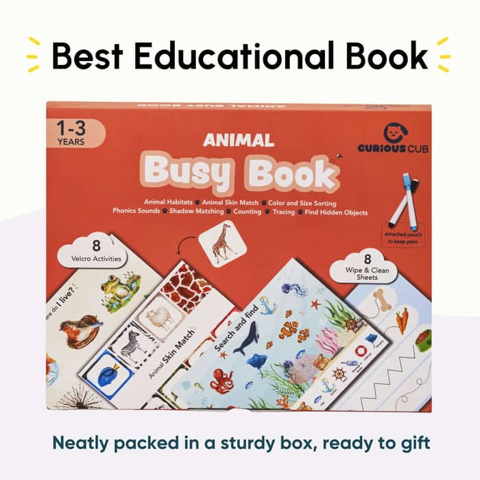 Animal Busy Book