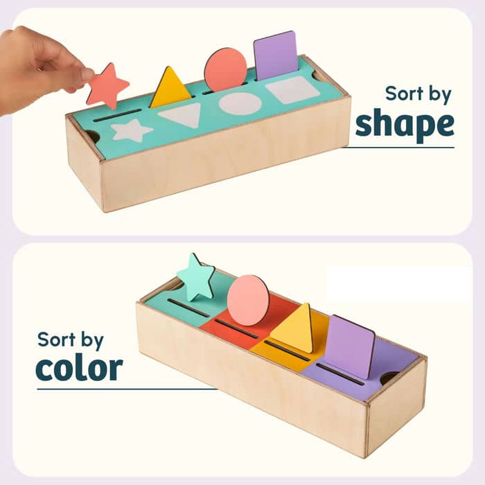 Shape & Color Sorter