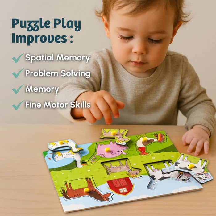 Farm Peg Puzzle