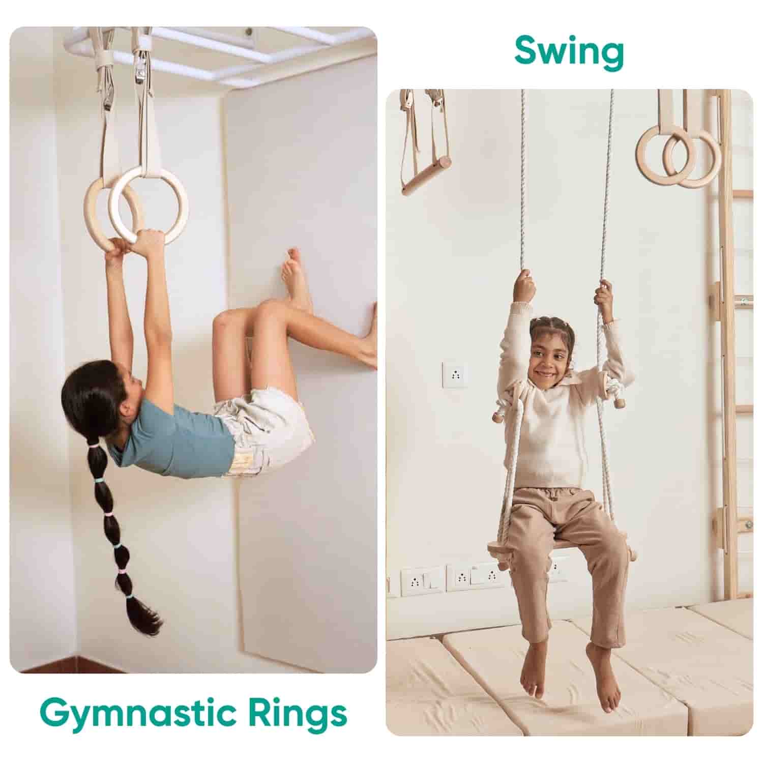 Monkey Bar with attachments