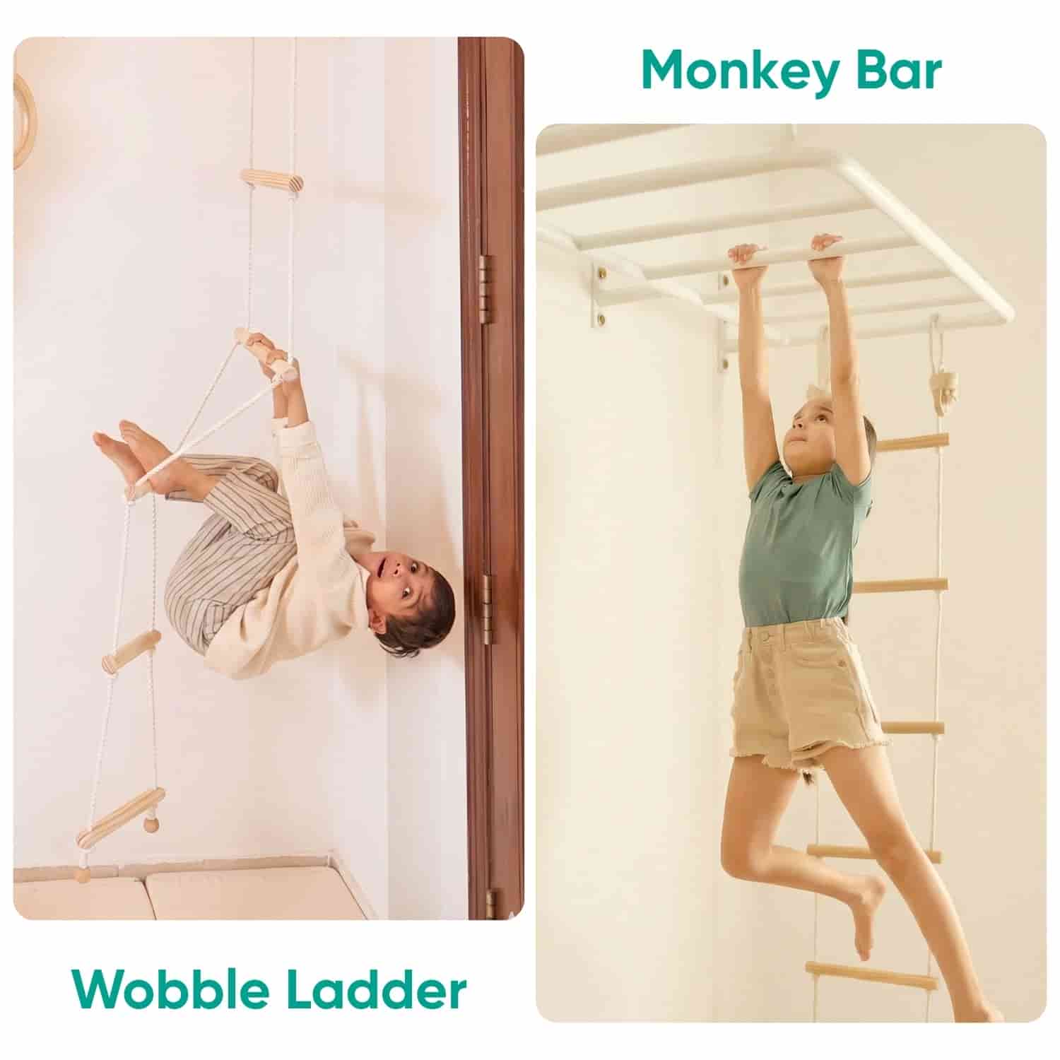 Monkey Bar with attachments