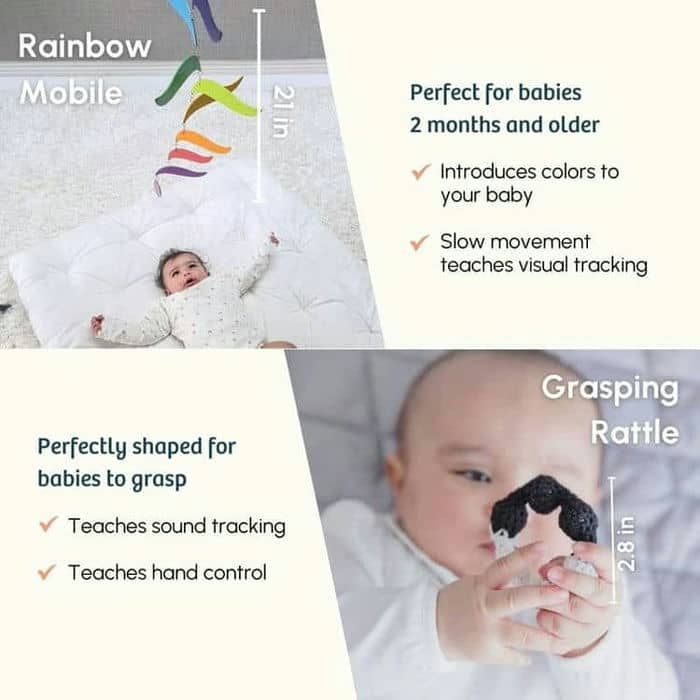 The Newborn Box