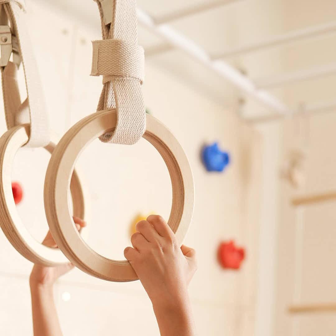 Gymnastic Ring
