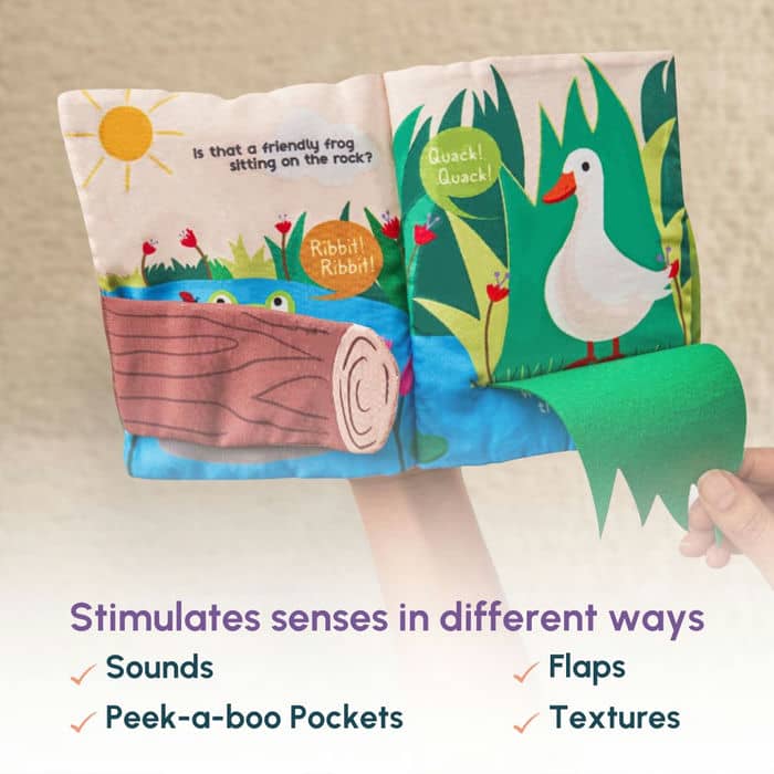 Peek-a-who Book