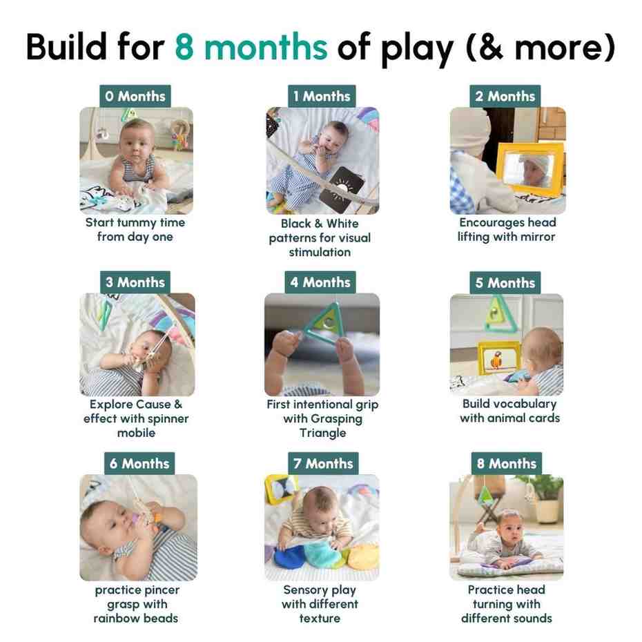 Play Gym