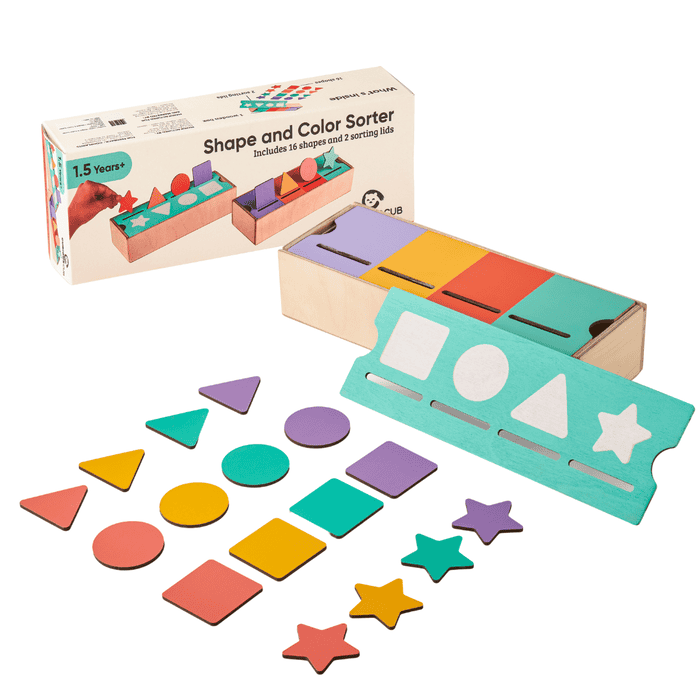 Shape & Color Sorter