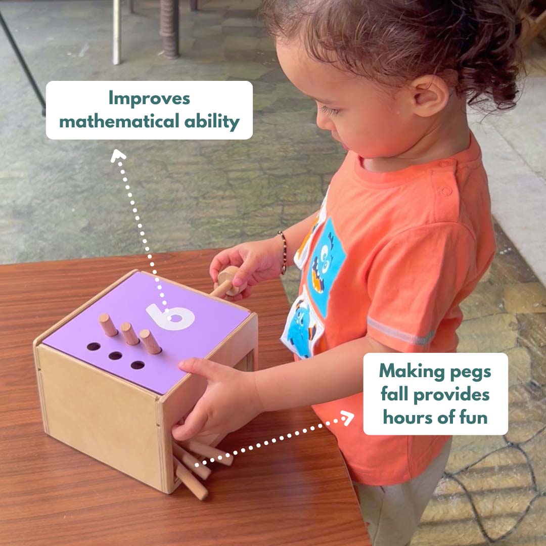Montessori Box-24 months +