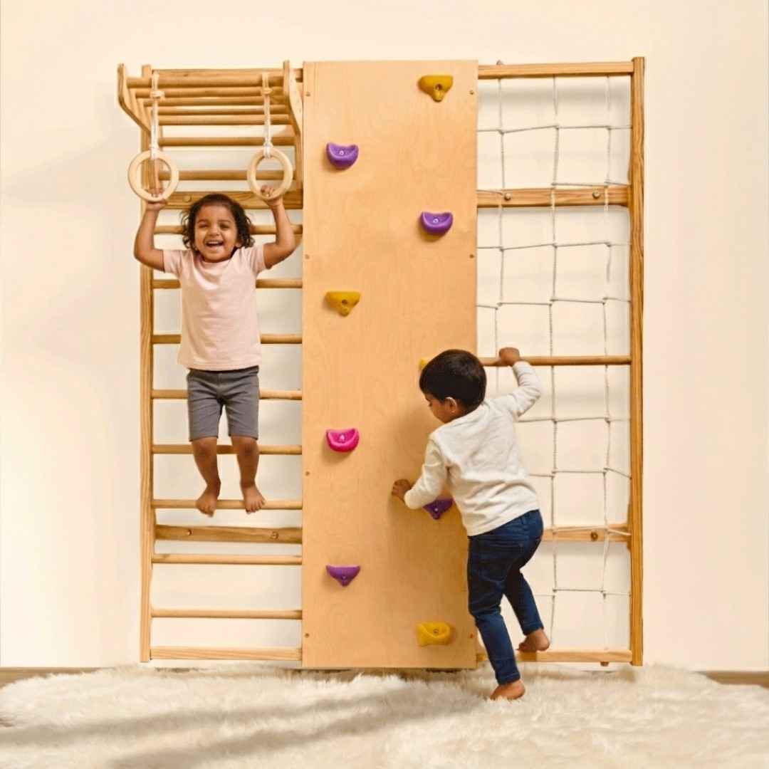 Wall Mounted Jungle Gym