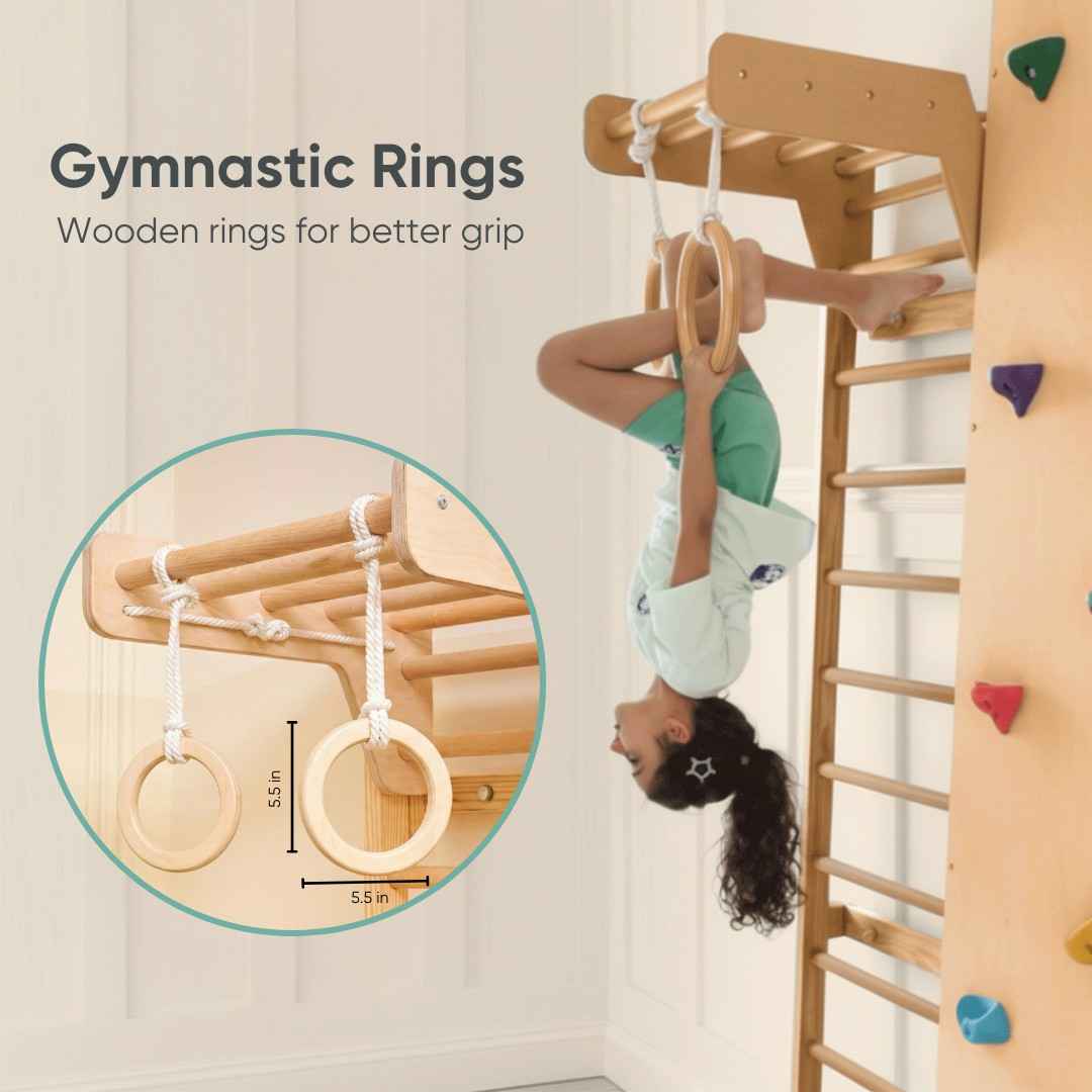 Wall Mounted Jungle Gym