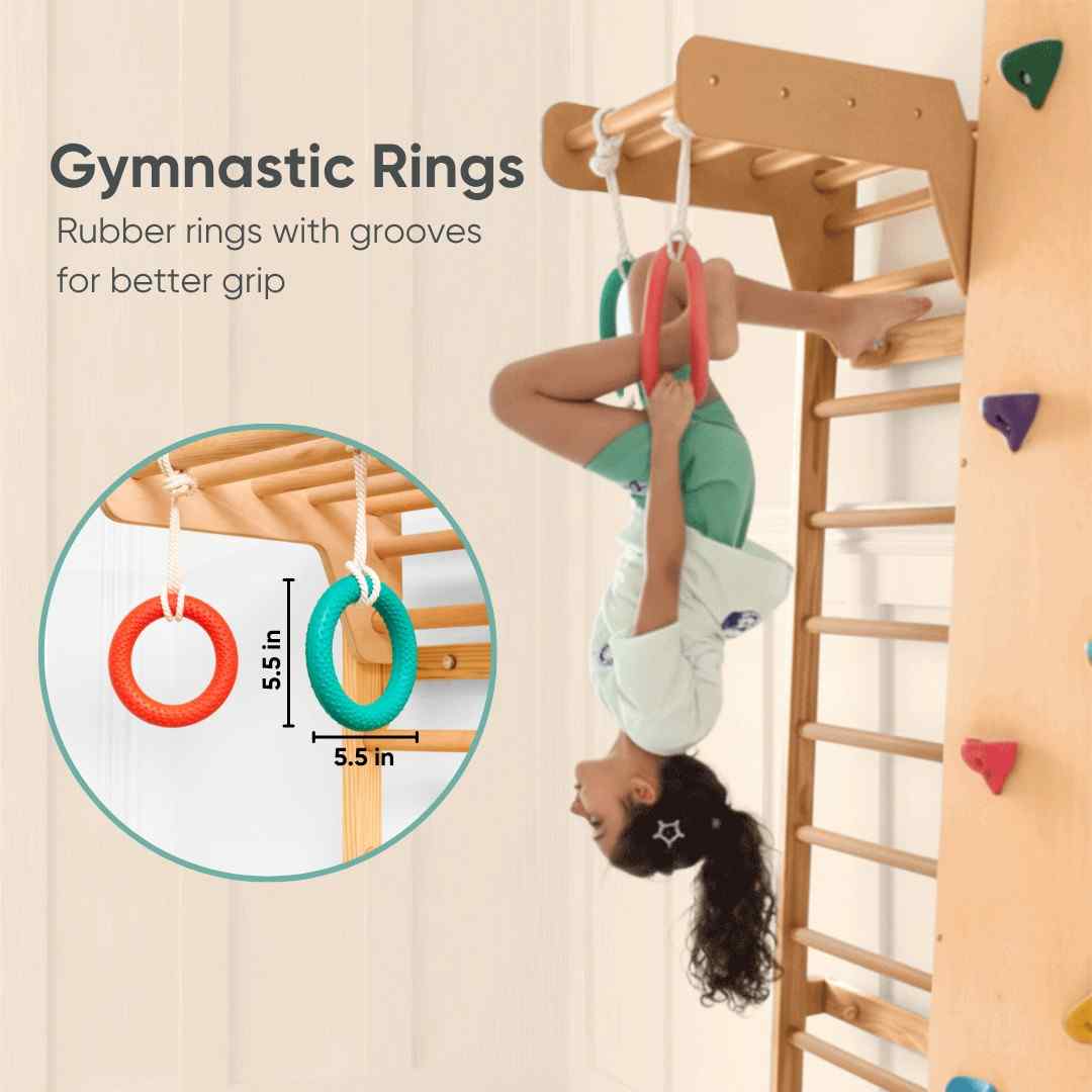 Wall Mounted Jungle Gym