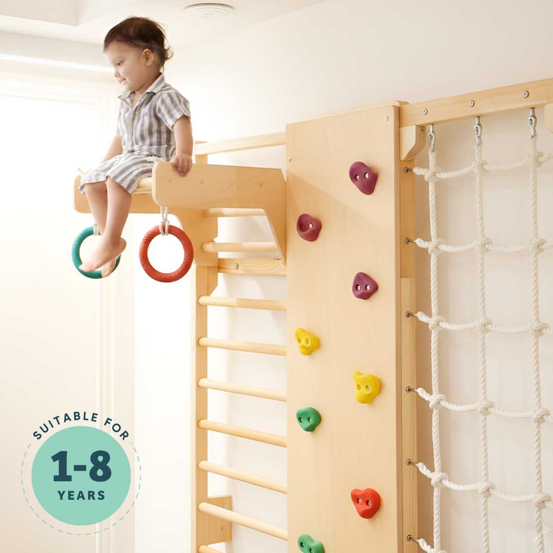 Wall Mounted Jungle Gym
