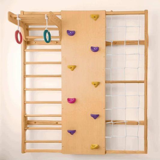 Wall Mounted Jungle Gym