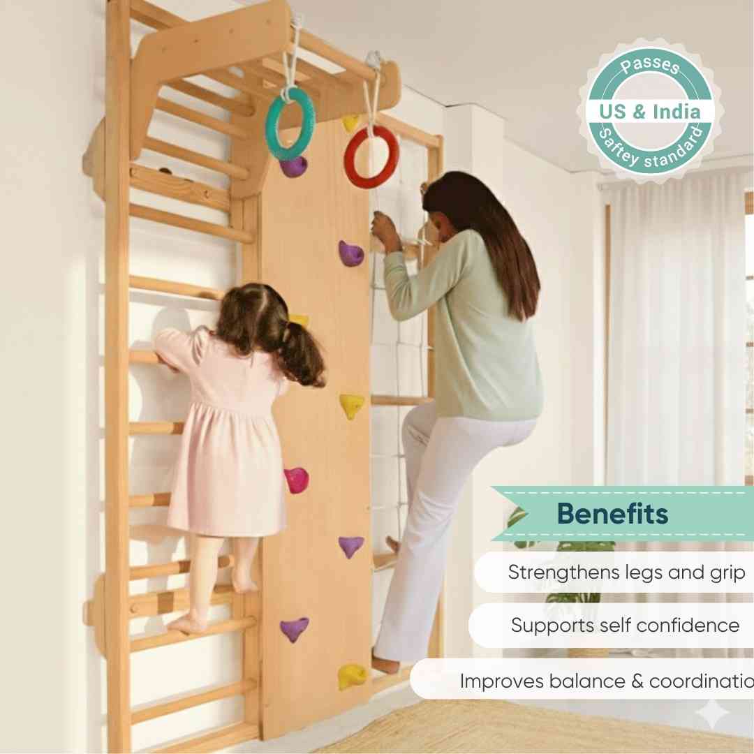 Wall Mounted Jungle Gym