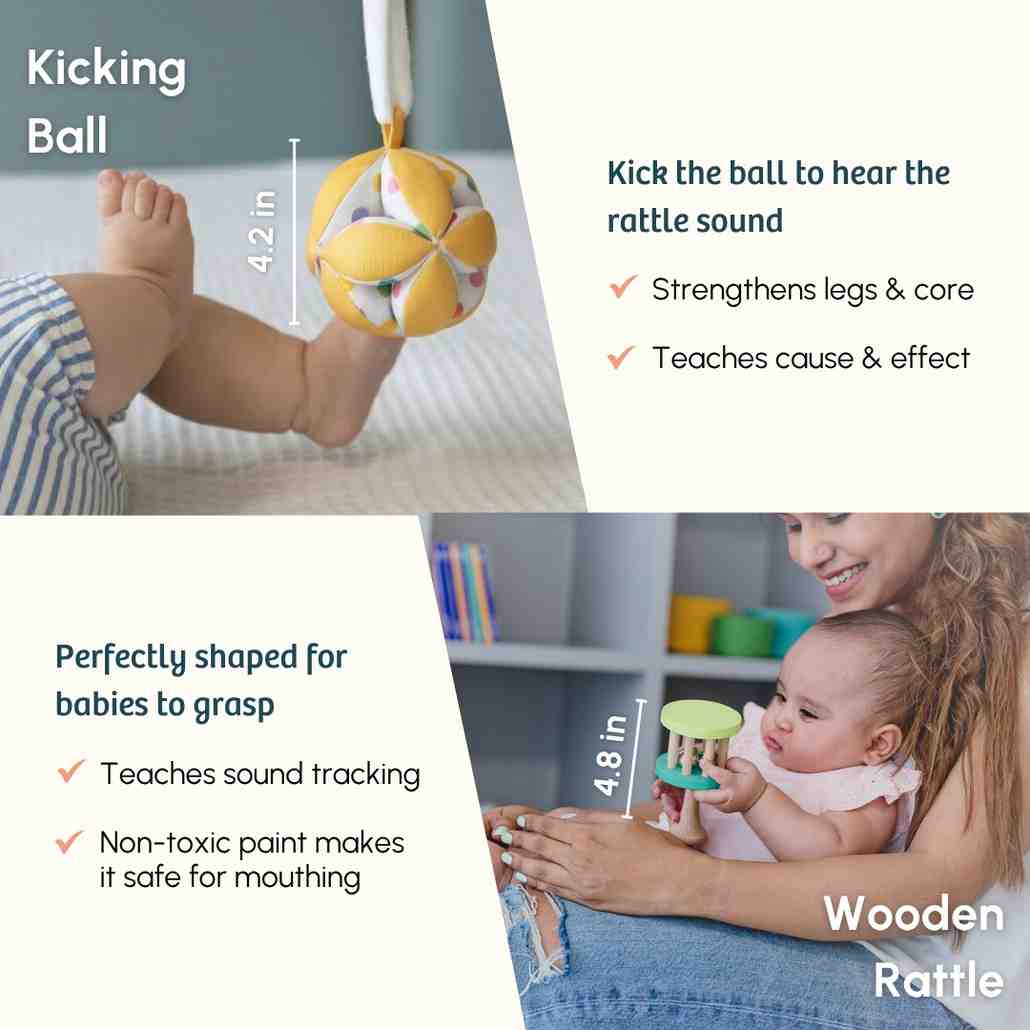 The Newborn Box