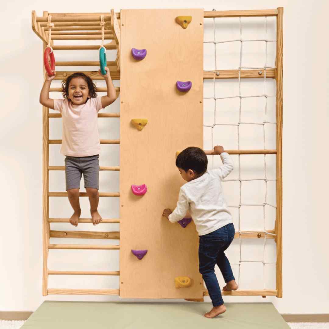 Wall Mounted Jungle Gym