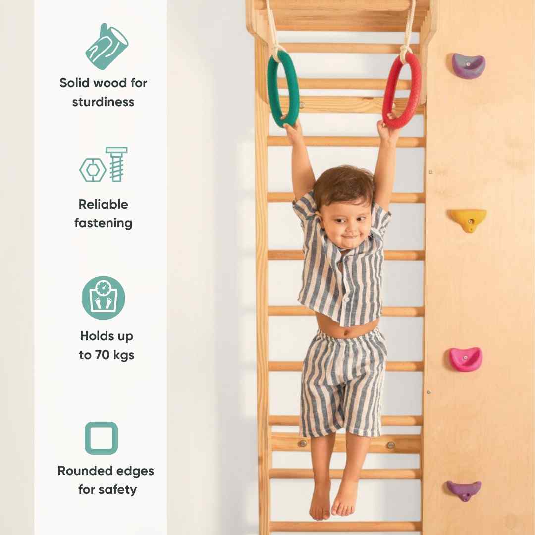 Wall Mounted Jungle Gym