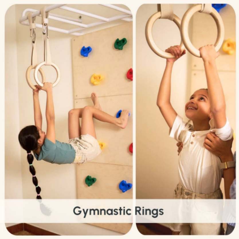 Ultimate Jungle Gym 1