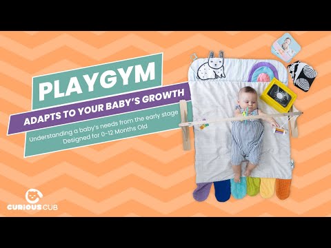 Play Gym