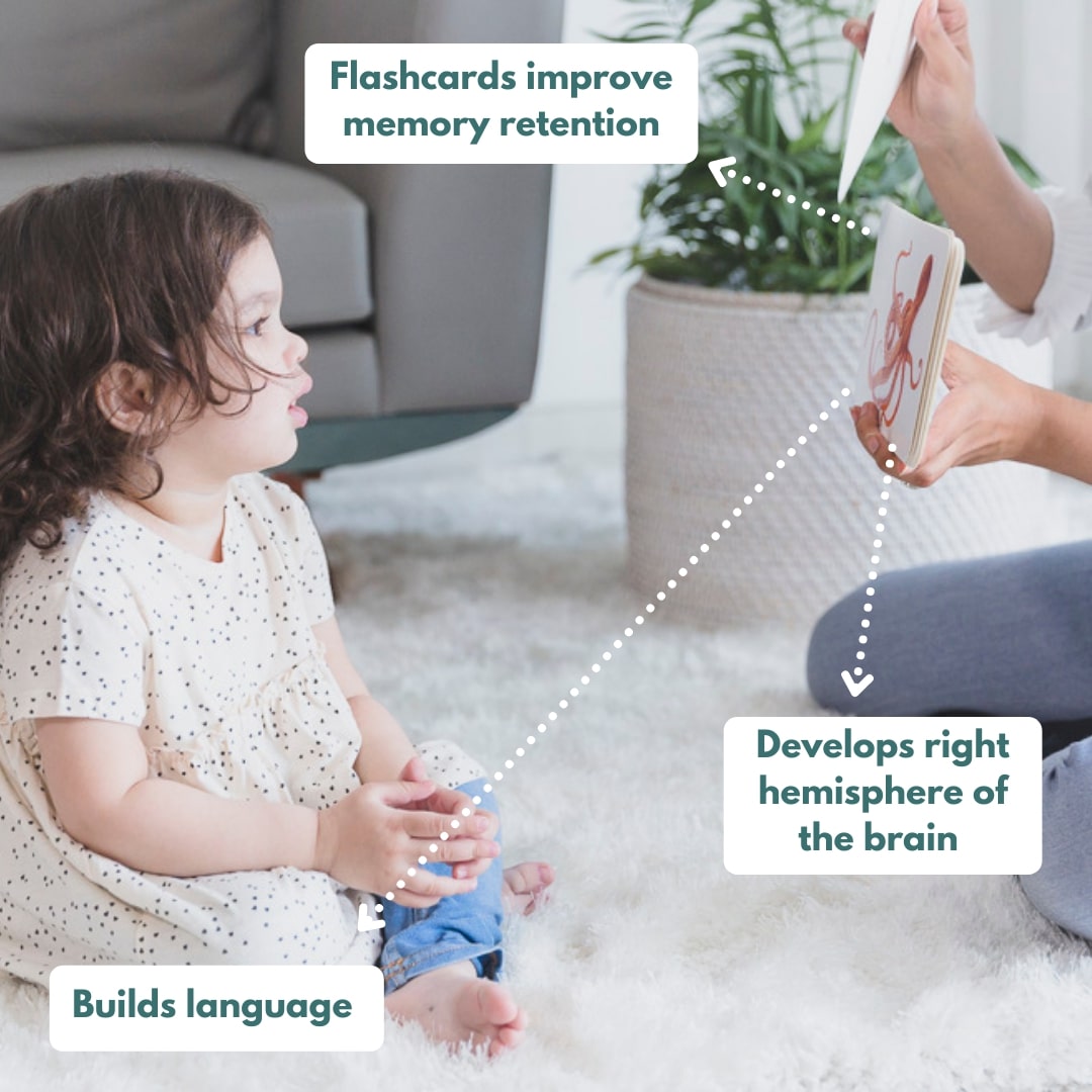 Montessori Box- 21 months+