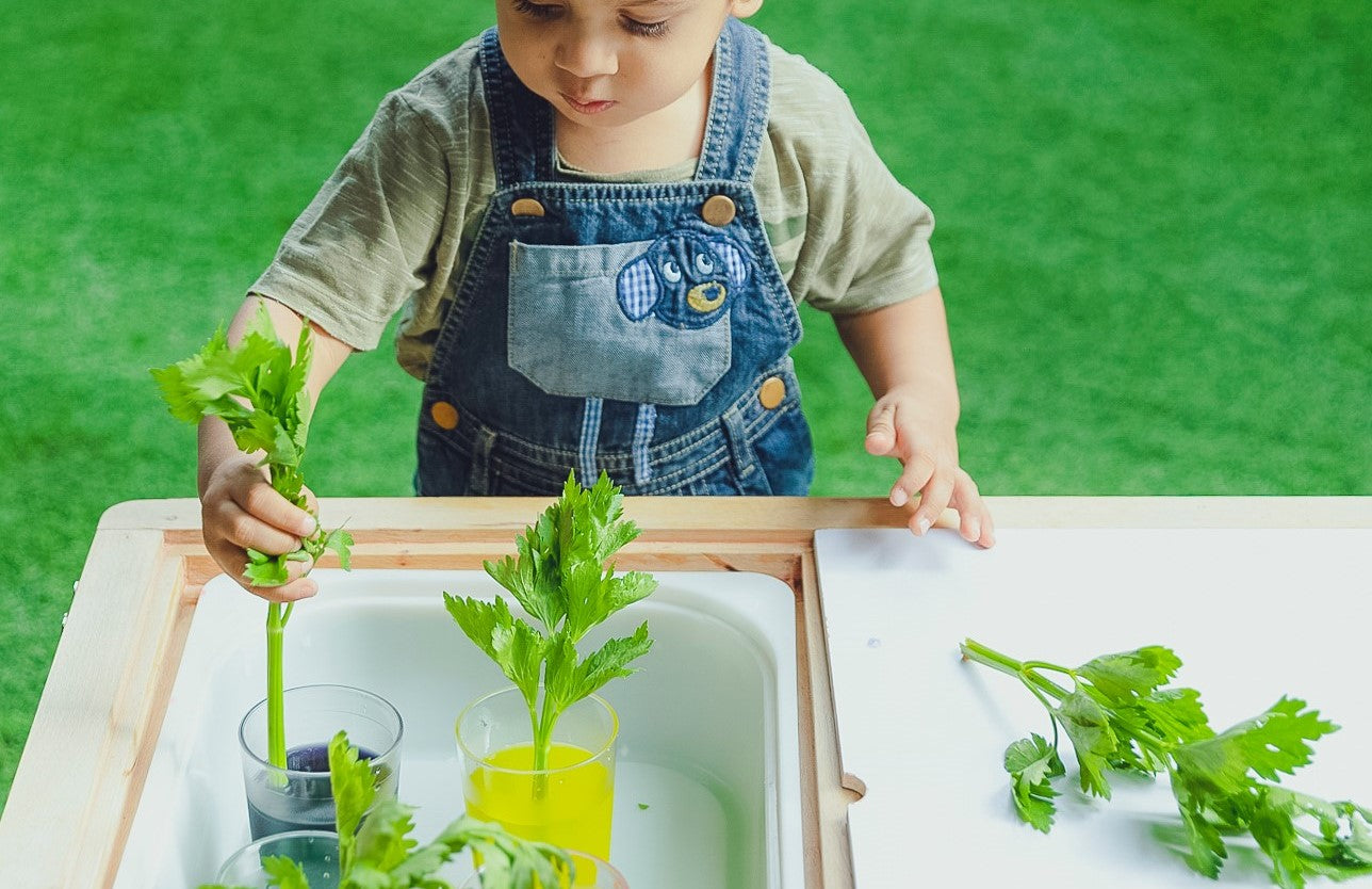 Wikihow Experiment Science Experiment - Why and How – Curious Cub
