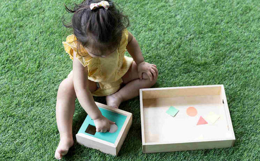 Your child has mastered Shape Sorter. What Next?
