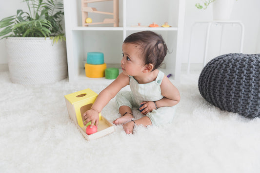Object Permanence