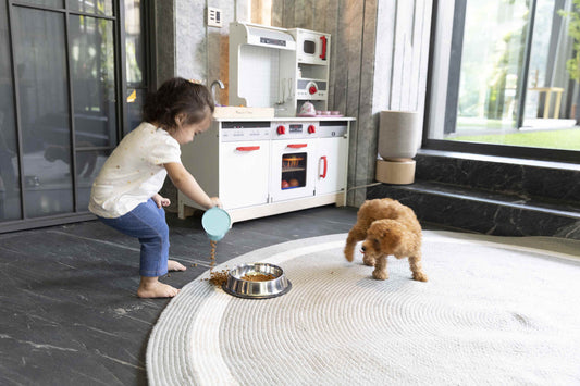 6 household chores for 12 months +