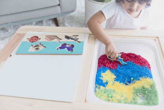 Repurpose Insect Puzzle