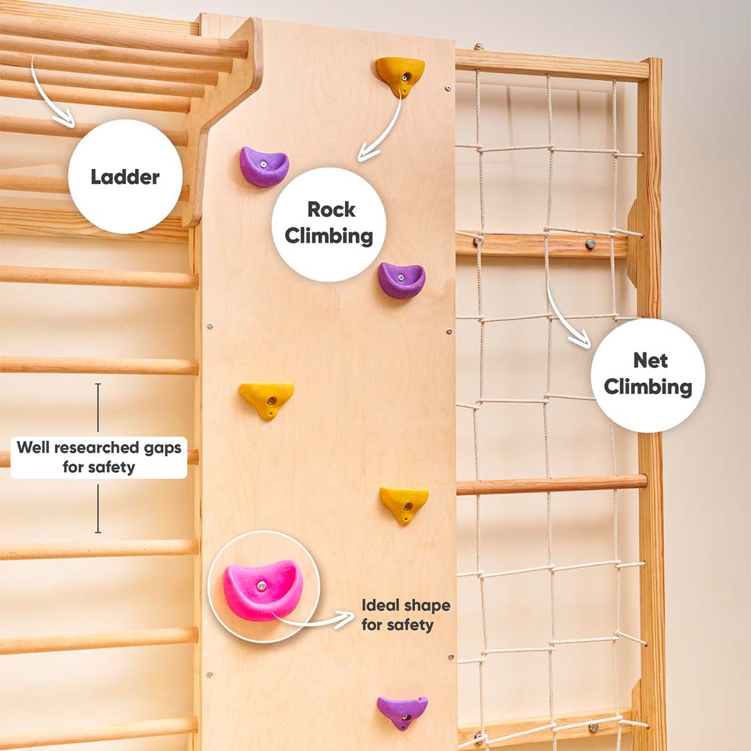 Wall Mounted Jungle Gym Curious Cub