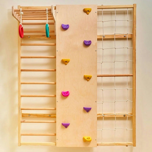 Wall Mounted Jungle Gym