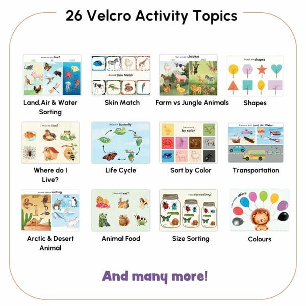 Animal, First & Alphabet Busy Books