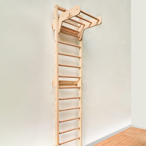 Wall Ladder