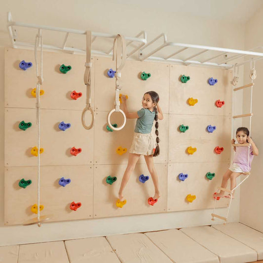 Ultimate Jungle Gym 1