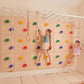 Ultimate Jungle Gym 1