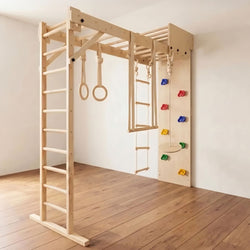 Wall Foldable Jungle Gym