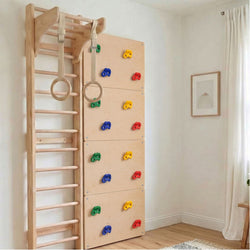 Space Saver Jungle Gym 1