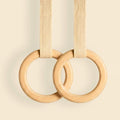 Gymnastic Ring