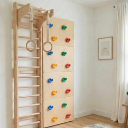 Space Saver Jungle Gym 1