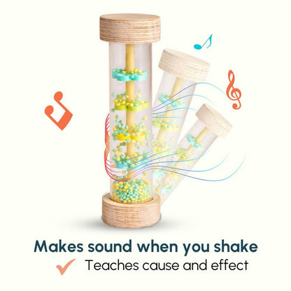 Rainmaker Rattle