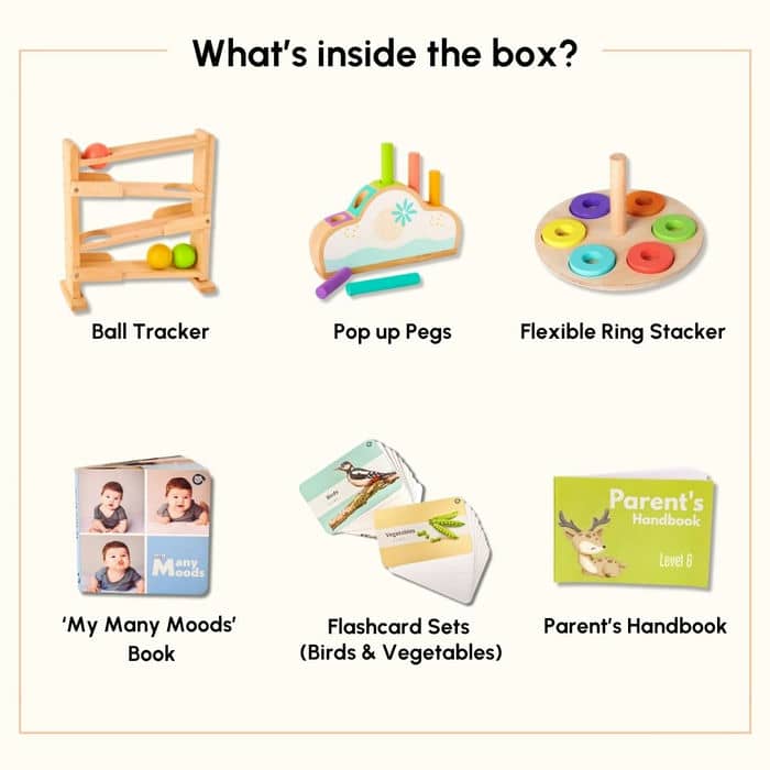 Montessori toy box year – Curious Cub - Main Image