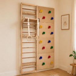 Space Saver Jungle Gym 1