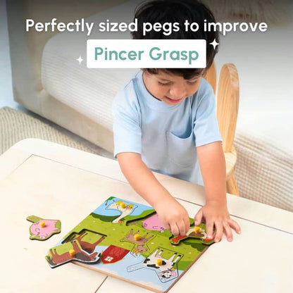 Farm Peg Puzzle