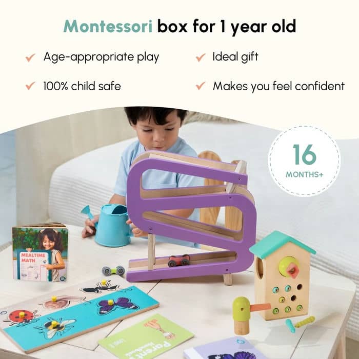 Montessori Toy box 16 months+ – Curious Cub