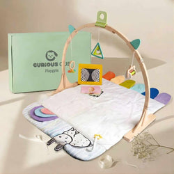 Play Gym
