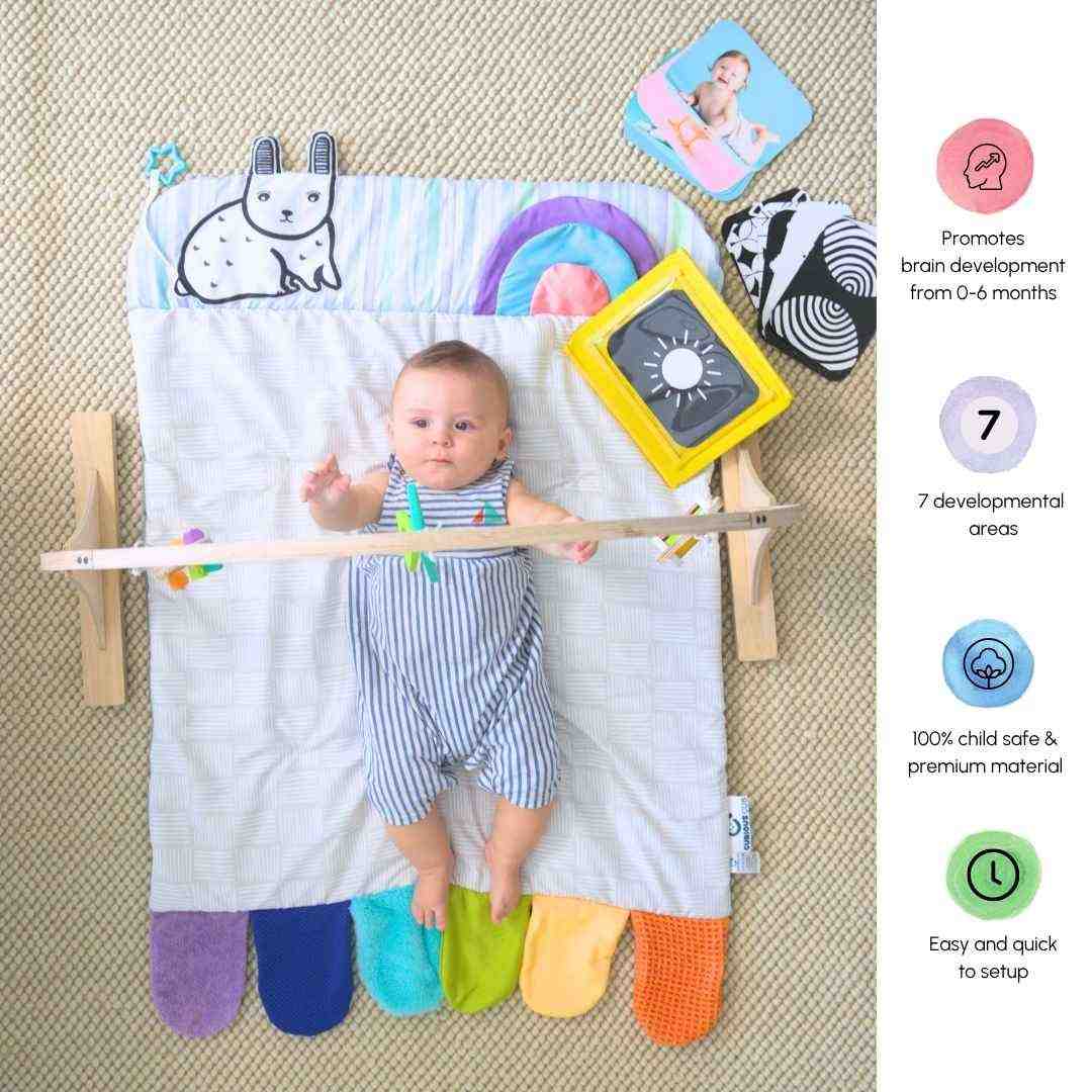 Play Gym