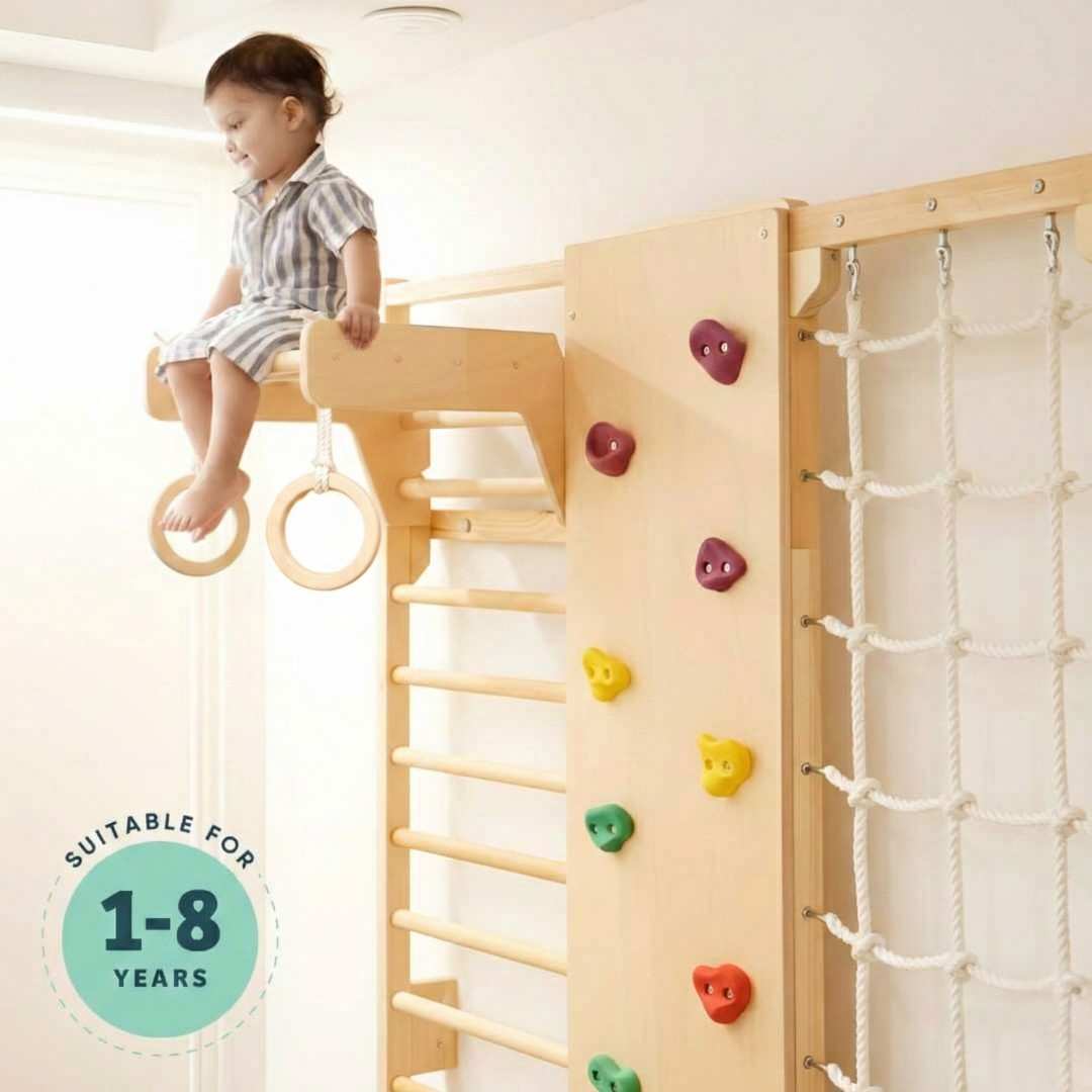 Wall Mounted Jungle Gym