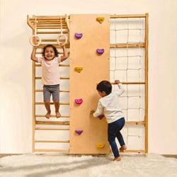 Wall Mounted Jungle Gym