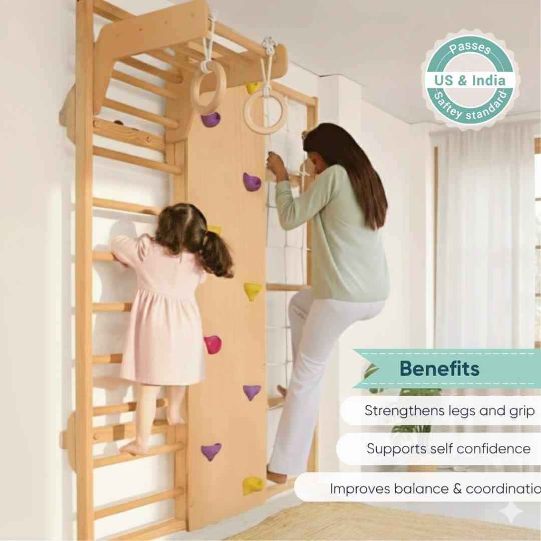 Wall Mounted Jungle Gym