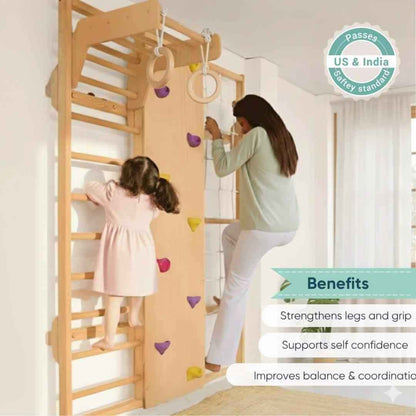 Wall Mounted Jungle Gym