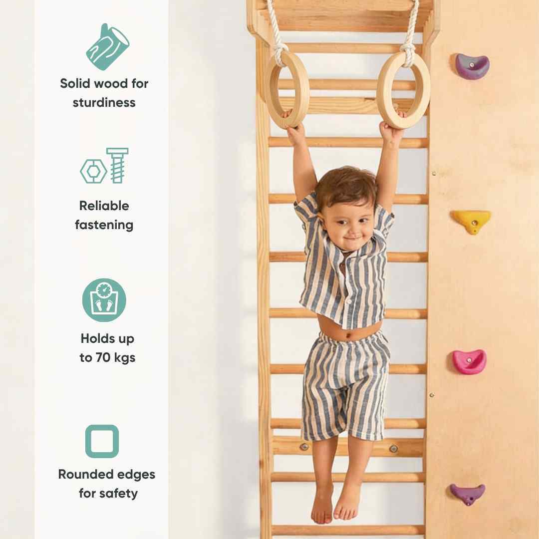 Wall Mounted Jungle Gym